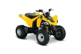 2019 Can-Am DS 250 250 specifications