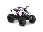 2019 Can-Am DS 250 70 specifications