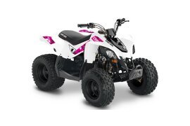 2019 Can-Am DS 250 70 specifications