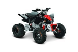 2019 Can-Am DS 250 90 X specifications