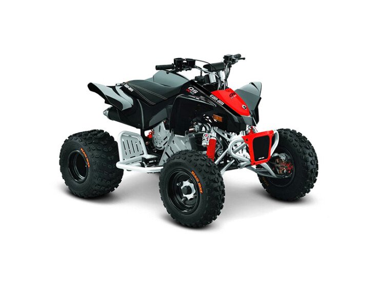 2019 Can-Am DS 250 90 X specifications