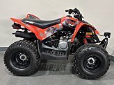 2019 Can-Am DS 90 for sale 201573829
