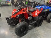 2019 Can-Am DS 90