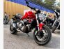 2019 Ducati Monster 821 for sale 201366480