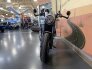 2019 Ducati Scrambler for sale 201308594