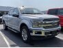 2019 Ford F150 for sale 101605373