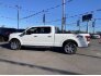 2019 Ford F150 for sale 101638164