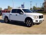 2019 Ford F150 for sale 101655809