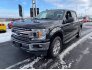2019 Ford F150 for sale 101681444