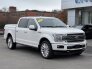 2019 Ford F150 for sale 101683096