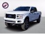 2019 Ford F150 for sale 101693904