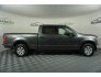 2019 Ford F150 for sale 101697472