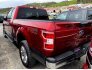 2019 Ford F150 for sale 101734502