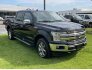 2019 Ford F150 for sale 101746209