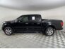 2019 Ford F150 for sale 101754542