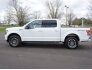 2019 Ford F150 for sale 101755810