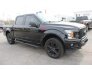 2019 Ford F150 for sale 101756724