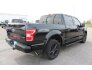2019 Ford F150 for sale 101756724