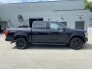 2019 Ford F150 for sale 101756991