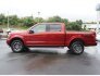 2019 Ford F150 for sale 101779063