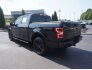 2019 Ford F150 for sale 101779065