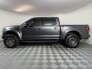 2019 Ford F150 for sale 101794318
