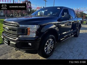 2019 Ford F150 for sale 101806533