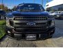 2019 Ford F150 for sale 101806533