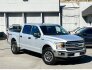 2019 Ford F150 for sale 101817568