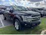 2019 Ford F150 for sale 101819096