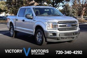 2019 Ford F150 for sale 101981468