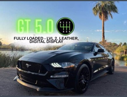 Photo 1 for 2019 Ford Mustang GT