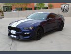 Thumbnail Photo 6 for 2019 Ford Mustang Shelby GT350