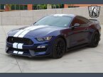 Thumbnail Photo 2 for 2019 Ford Mustang Shelby GT350