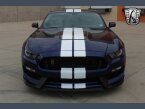 Thumbnail Photo 5 for 2019 Ford Mustang Shelby GT350
