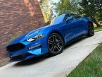 Thumbnail Photo 2 for 2019 Ford Mustang GT Coupe