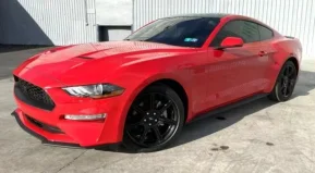 2019 Ford Mustang Coupe for sale 101940980