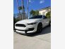 2019 Ford Mustang Shelby GT350 for sale 101835636