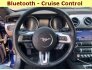 2019 Ford Mustang for sale 101547199