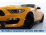2019 Ford Mustang Shelby GT350 for sale 101630301