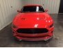 2019 Ford Mustang GT for sale 101636231