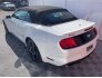 2019 Ford Mustang for sale 101687300