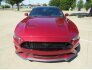 2019 Ford Mustang GT Premium for sale 101735336