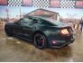 2019 Ford Mustang Bullitt Coupe for sale 101740202