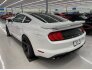 2019 Ford Mustang GT Premium for sale 101746138