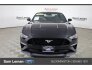 2019 Ford Mustang GT Premium for sale 101754024