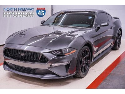 2019 Ford Mustang GT for sale 101762542
