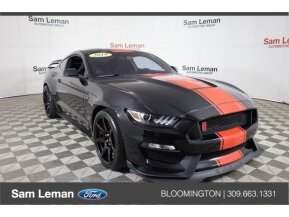 2019 Ford Mustang for sale 101763855