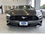 2019 Ford Mustang for sale 101767326