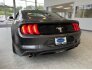 2019 Ford Mustang for sale 101767326